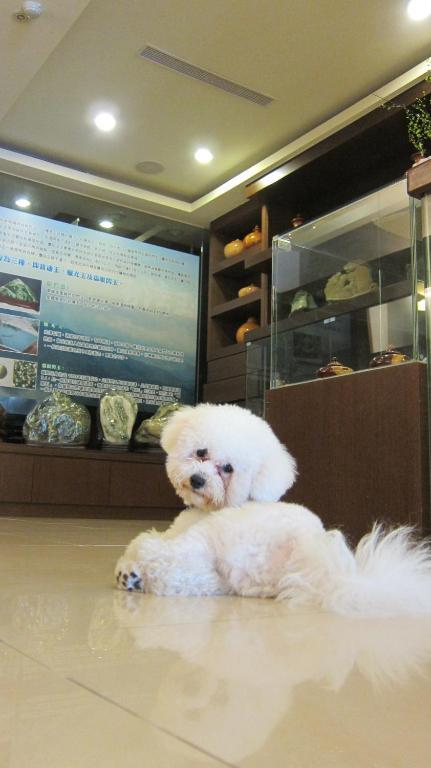 客至軒一館 Hualien Eksteriør bilde
